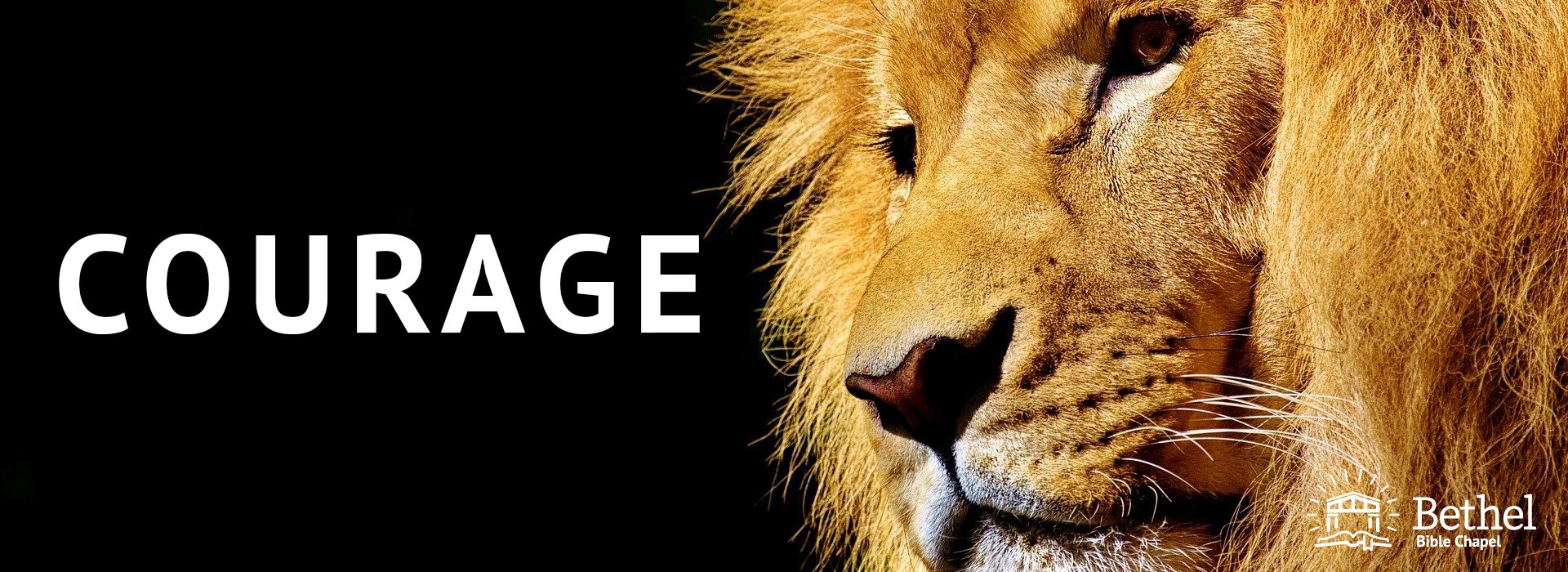 Joseph - Courage To Forgive